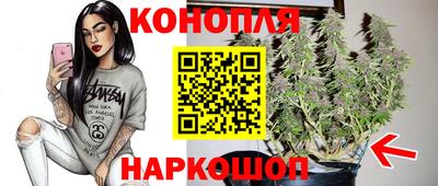 гидропоника Кулебаки