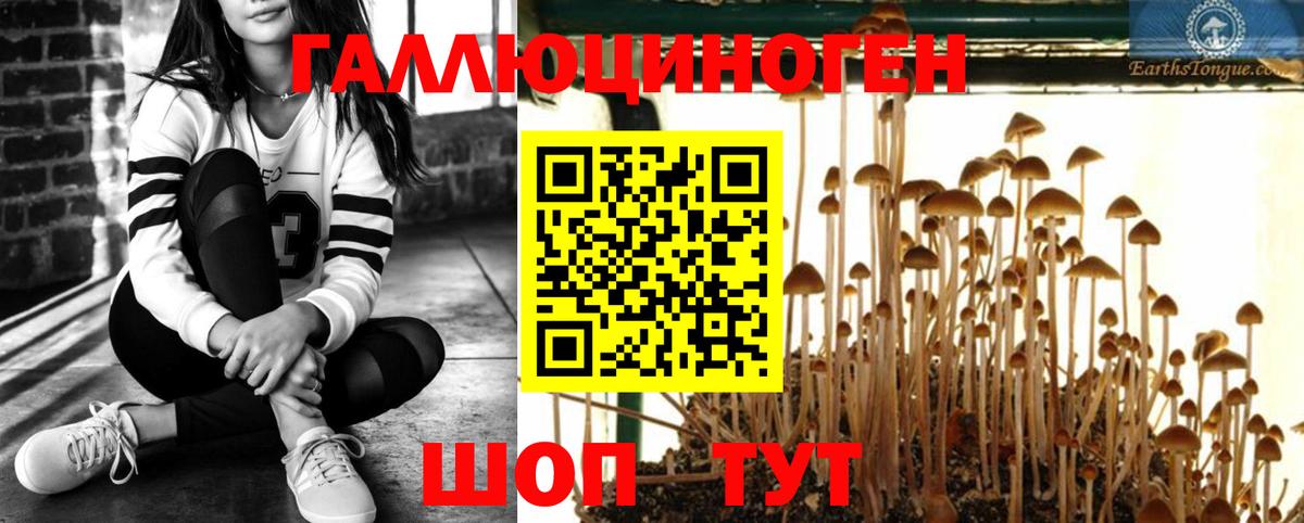 Галлюциногенные грибы MAGIC MUSHROOMS Карпинск