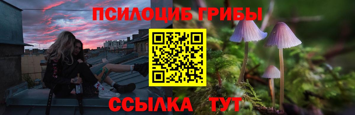 Карпинск  Бошки Шишки  Кокаин  ГАШИШ  Вход с VPN  Меф МЯУ МЯУ  